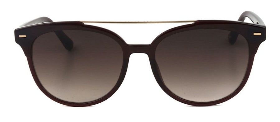 Ted Baker Solene TB1539 Women's Sunglasses Brown/Red