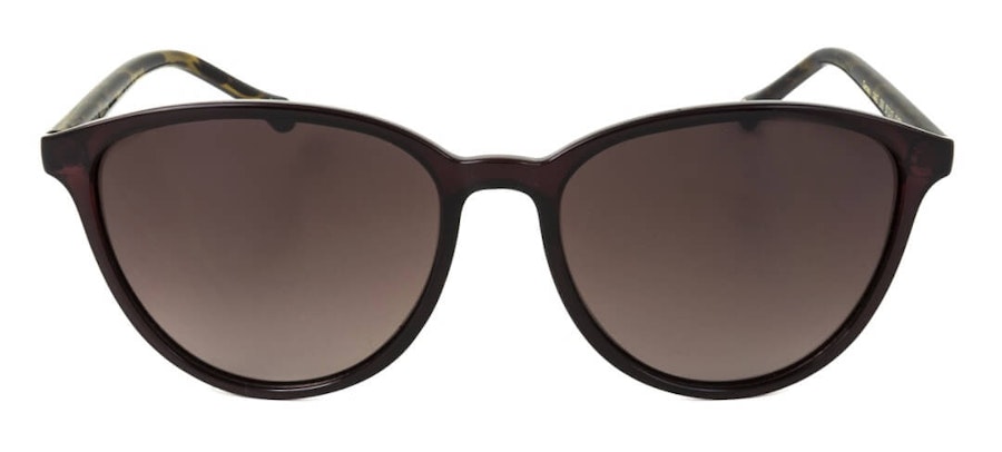 Ted Baker Tierney TB 1442 Women's Sunglasses Brown/Violet