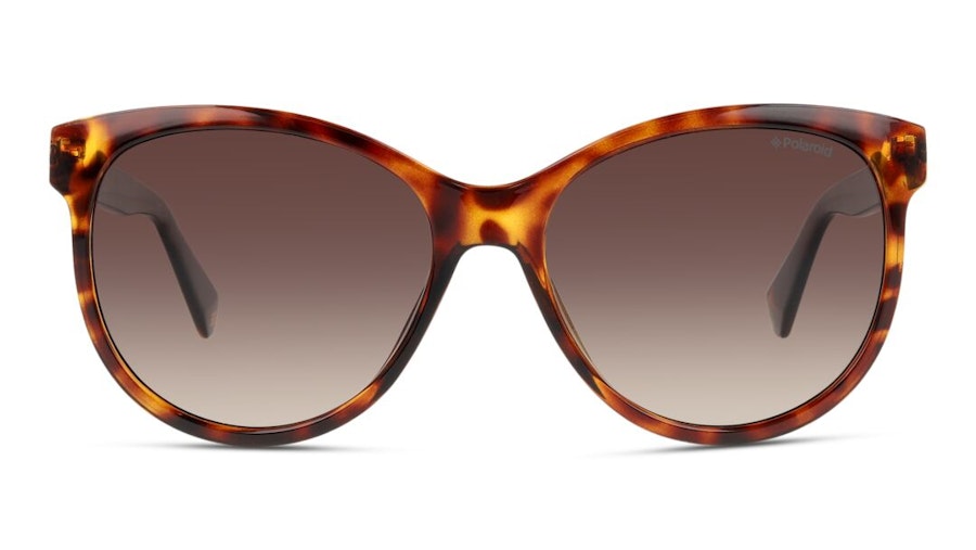 Polaroid PLD 4079/S Women's Sunglasses Brown/Tortoise Shell