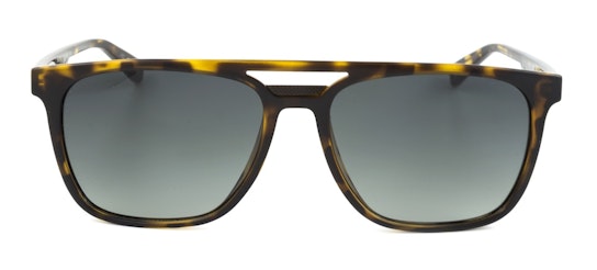 Holt TB 1494 (173) Sunglasses Green / Havana
