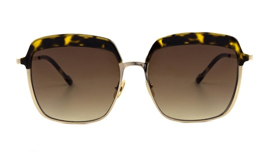 Setlla (482) Sunglasses Brown / Gold