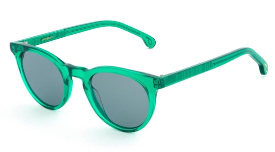 Archer PS SP013 (03) Sunglasses Grey / Green