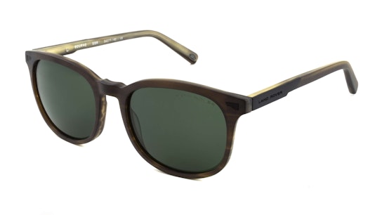 Bourne (SBR) Sunglasses Green / Brown