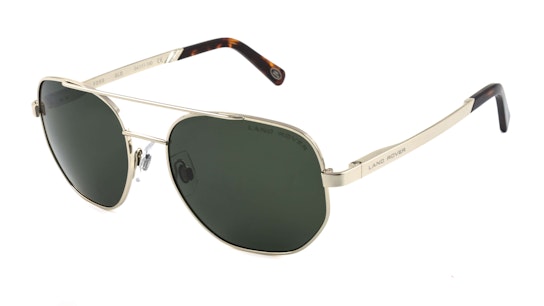 Foss (GLD) Sunglasses Grey / Gold