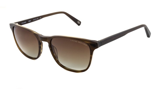 Itchen (SBR) Sunglasses Brown / Brown