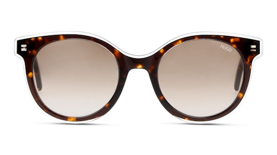 HG 1050/S (AIO) Sunglasses Brown / Havana
