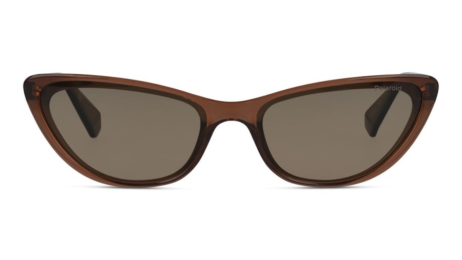 Polaroid PLD 6142/S (09Q) Sunglasses Brown / Brown