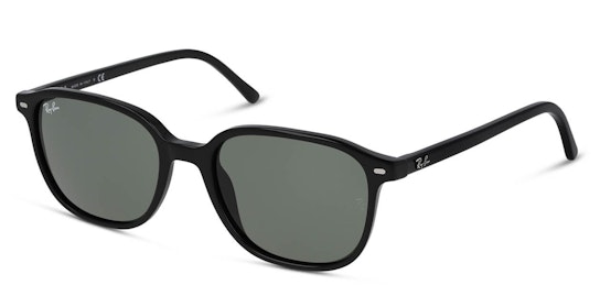 Leonard RB 2193 (901/31) Sunglasses Green / Black