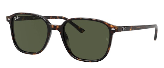 Leonard RB 2193 (902/31) Sunglasses Green / Tortoise Shell