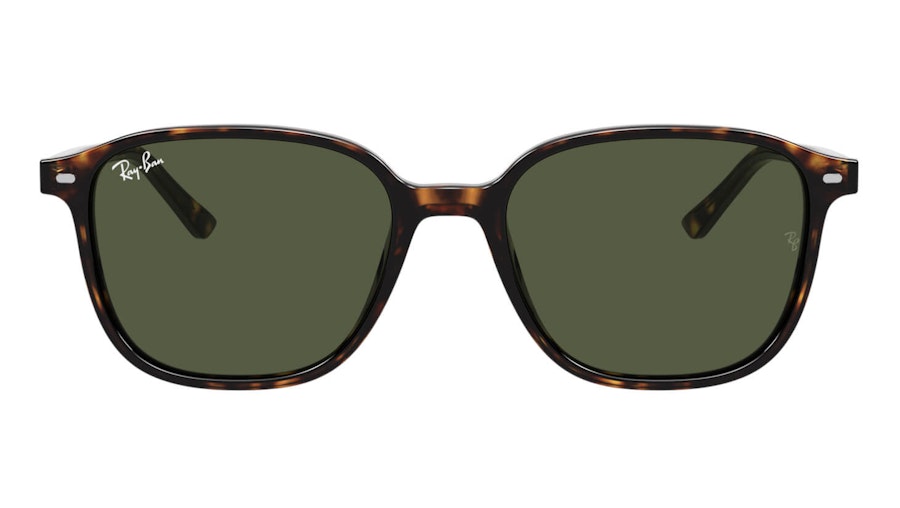 Ray-Ban Leonard RB 2193 (902/31) Sunglasses Green / Tortoise Shell