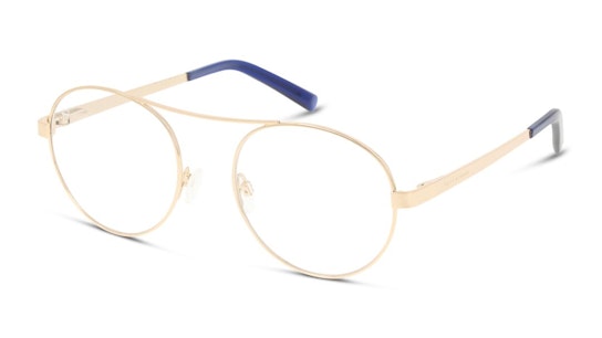 Remi (C50) Glasses Transparent / Gold