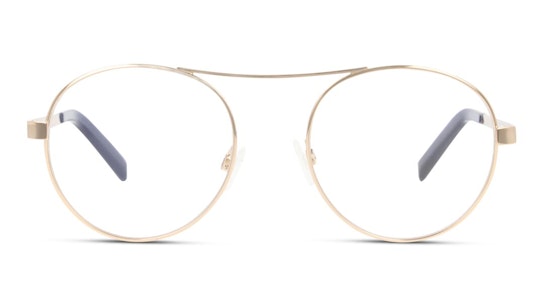 Remi (C50) Glasses Transparent / Gold