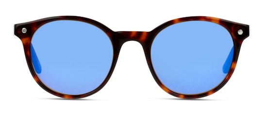 EM05 (HH) Sunglasses Blue / Tortoise Shell