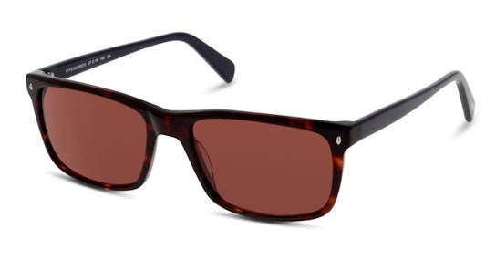 CN EM23 (HC) Sunglasses Brown / Tortoise Shell