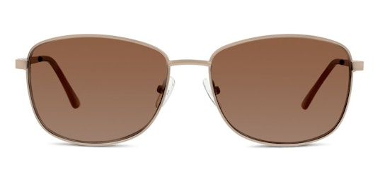 FF09 (DD) Sunglasses Brown / Gold