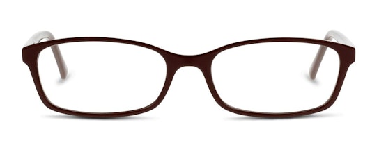 SN GF04 (NN) Glasses Transparent / Brown