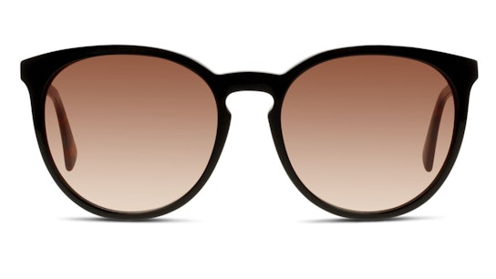LO 606S (010) Sunglasses Brown / Black