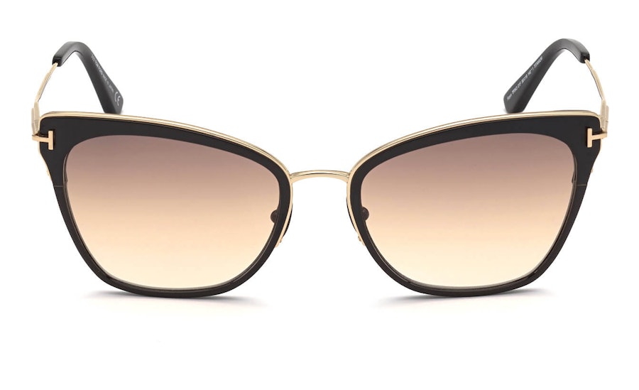 Tom Ford Hayden FT 843 (01F) Sunglasses Brown / Black