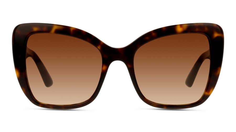 Dolce & Gabbana PRINT FAMILY DG4348 502/13 Marrone/Tartarugato
