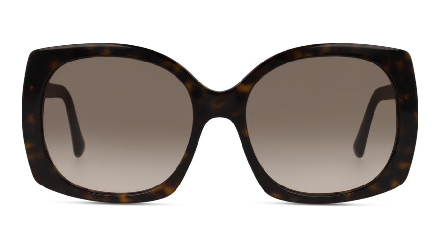 Dolce & Gabbana DG4385 502/13 Marrone/Tartarugato