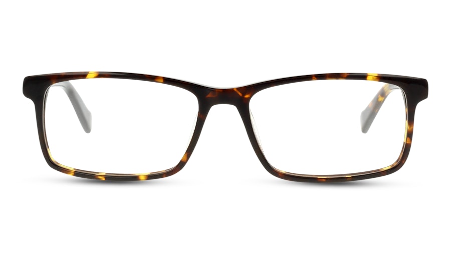 Pierre Cardin P.C. 6207 86 Tartaruga