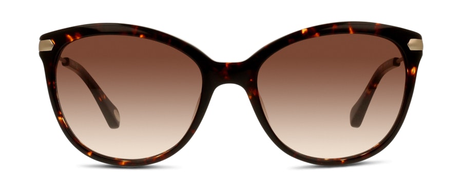 Fossil FOS 2034/S TLF Castanha/Tartaruga